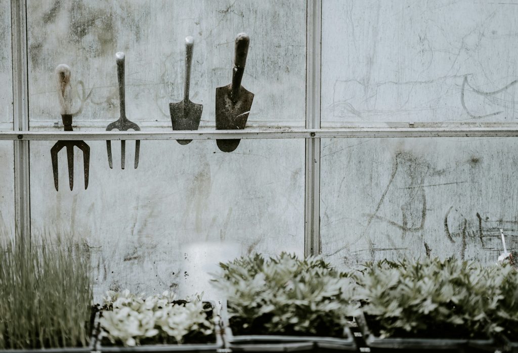 Gardening tools on window sill